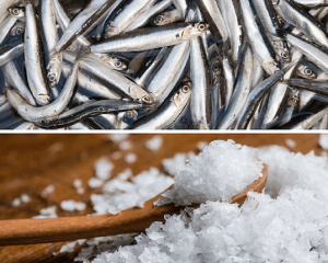Cá và muối biển