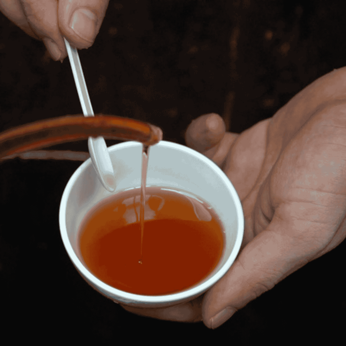 Kéo Rút Nước Mắm Cốt