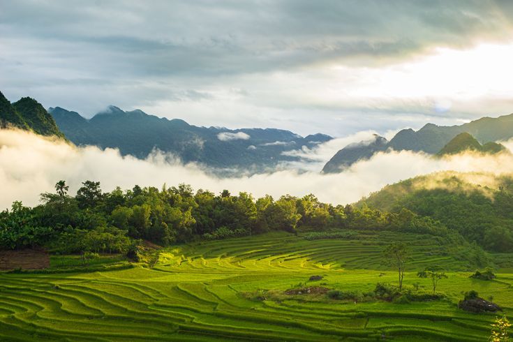 Pù Luông - Thiên Đường Săn Mây Và Nghỉ Dưỡng Giữa Núi Rừng