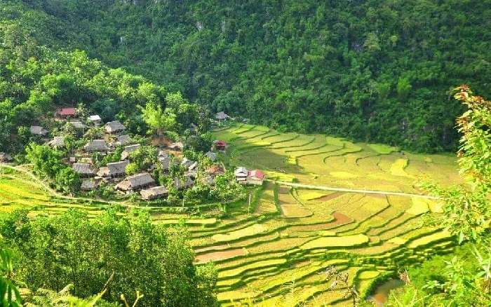 Khu Bảo Tồn Thiên Nhiên Pù Luông