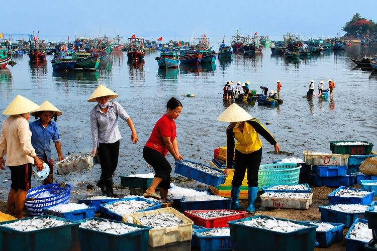 Lịch Sử Hình Thành Làng Nghề Mắm Ba Làng
