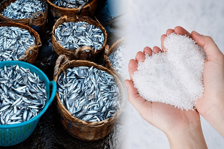 Giữ Nguyên Phương Pháp Truyền Thống Kết Hợp Ứng Dụng Công Nghệ Hiện Đại