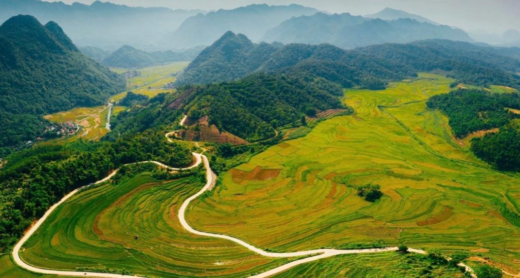 Mùa Lúa Chín Ở Pù Luông