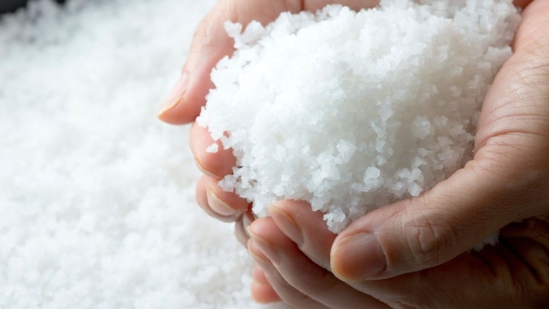 Muối Biển Sạch – Yếu Tố Quyết Định Quá Trình Ủ Chượp