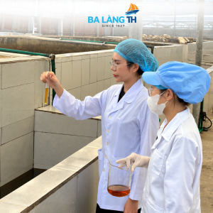 Đoàn ghi hình công đoạn sản xuất nước mắm Ba Làng TH
