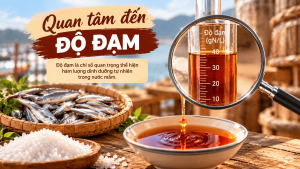 Quan tâm đến độ đạm khi lựa chọn nước mắm